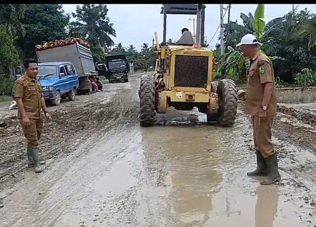 Pemkab Rohil Bergerak Cepat Tangani Kerusakan Jalan Di Kecamatan Kubu dan Kuba